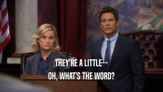THEY'RE A LITTLE-- OH, WHAT'S THE WORD? 