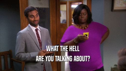 WHAT THE HELL ARE YOU TALKING ABOUT? 