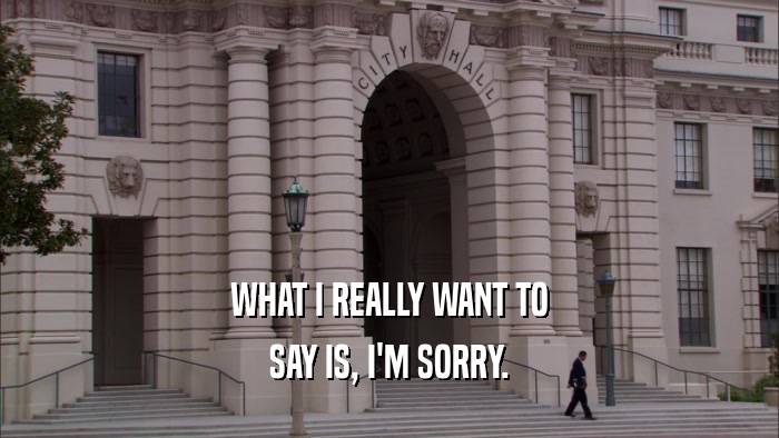 WHAT I REALLY WANT TO SAY IS, I'M SORRY. 
