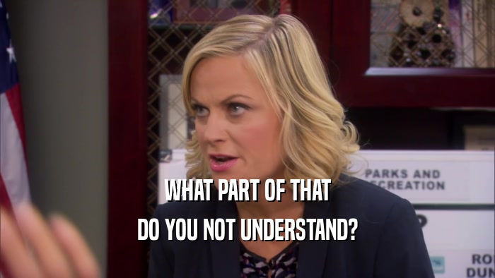 WHAT PART OF THAT DO YOU NOT UNDERSTAND? 