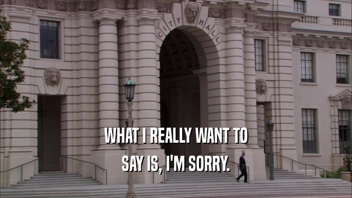 WHAT I REALLY WANT TO SAY IS, I'M SORRY. 