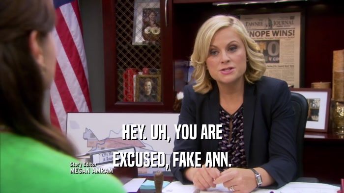 HEY. UH, YOU ARE EXCUSED, FAKE ANN. 