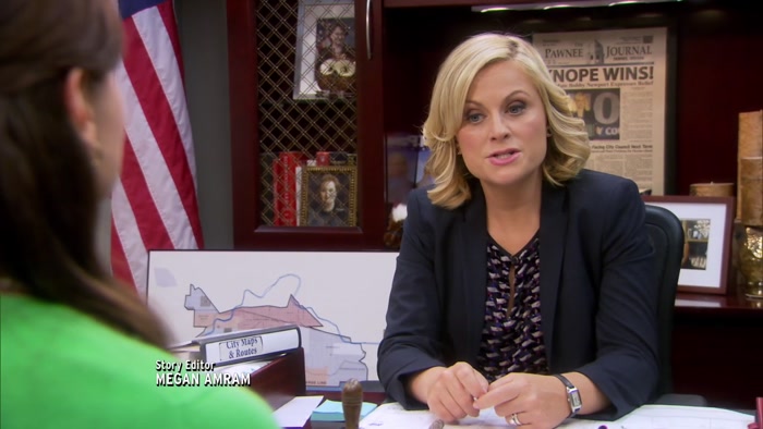 HEY. UH, YOU ARE EXCUSED, FAKE ANN. 