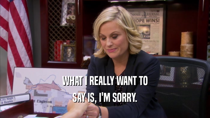 WHAT I REALLY WANT TO SAY IS, I'M SORRY. 
