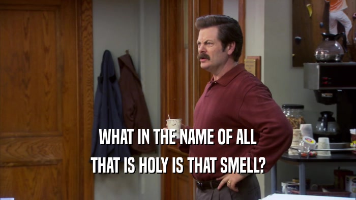 WHAT IN THE NAME OF ALL THAT IS HOLY IS THAT SMELL? 