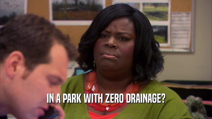 IN A PARK WITH ZERO DRAINAGE?  