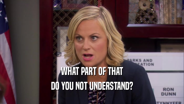WHAT PART OF THAT DO YOU NOT UNDERSTAND? 