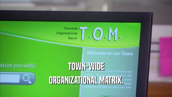 TOWN-WIDE ORGANIZATIONAL MATRIX. 