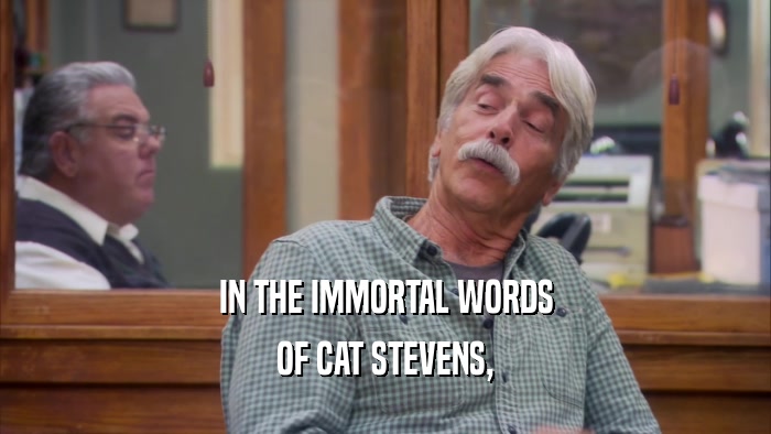 IN THE IMMORTAL WORDS OF CAT STEVENS, 