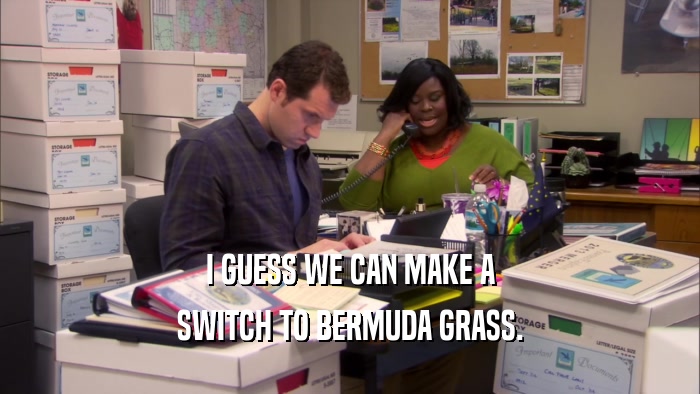 I GUESS WE CAN MAKE A SWITCH TO BERMUDA GRASS. 