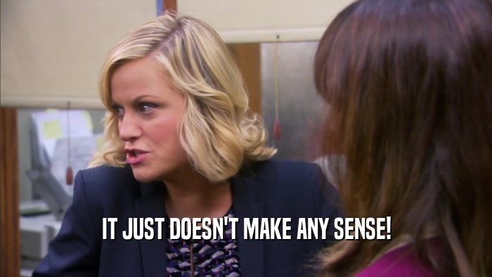 IT JUST DOESN'T MAKE ANY SENSE!  