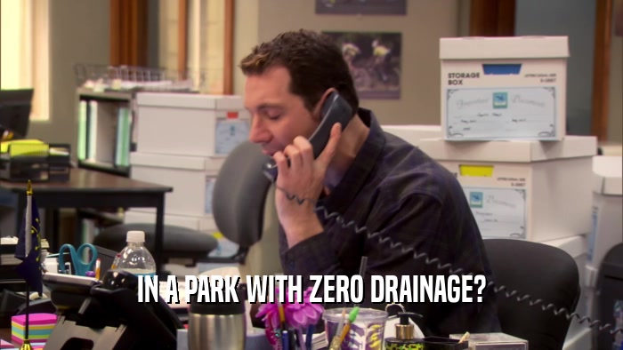 IN A PARK WITH ZERO DRAINAGE?  