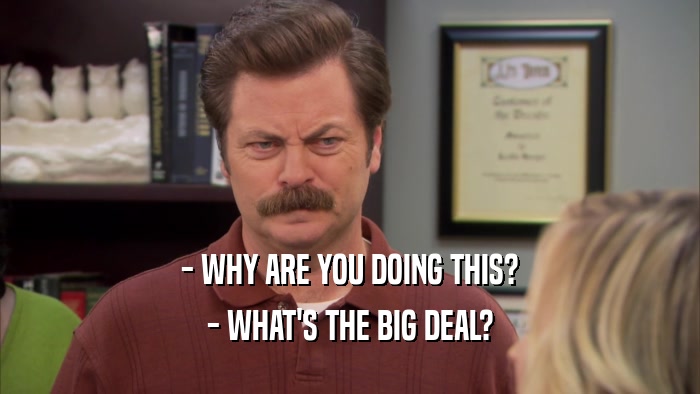 - WHY ARE YOU DOING THIS? - WHAT'S THE BIG DEAL? 