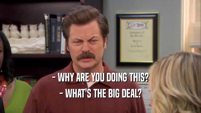 - WHY ARE YOU DOING THIS? - WHAT'S THE BIG DEAL? 