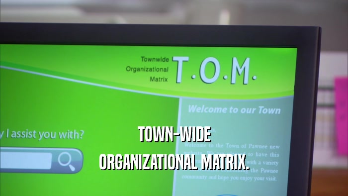 TOWN-WIDE ORGANIZATIONAL MATRIX. 
