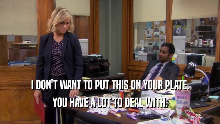 I DON'T WANT TO PUT THIS ON YOUR PLATE. YOU HAVE A LOT TO DEAL WITH. 