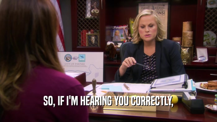 SO, IF I'M HEARING YOU CORRECTLY,  