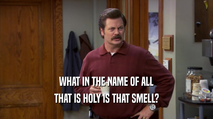 WHAT IN THE NAME OF ALL THAT IS HOLY IS THAT SMELL? 