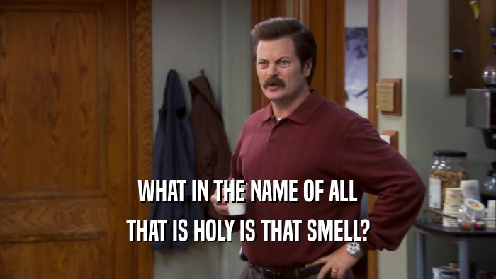 WHAT IN THE NAME OF ALL THAT IS HOLY IS THAT SMELL? 