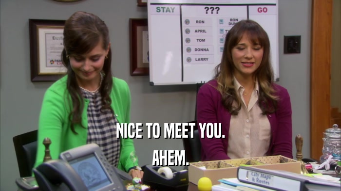 NICE TO MEET YOU. AHEM. 
