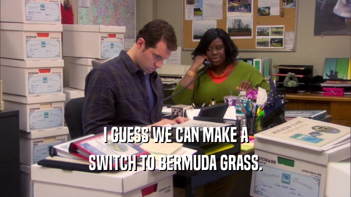 I GUESS WE CAN MAKE A SWITCH TO BERMUDA GRASS. 