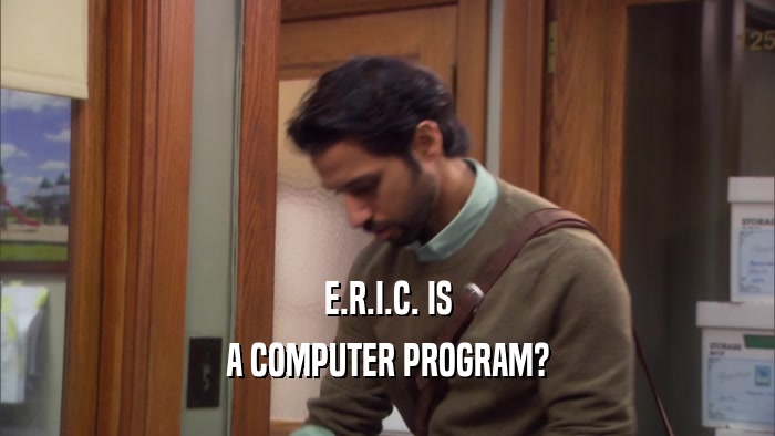 E.R.I.C. IS A COMPUTER PROGRAM? 