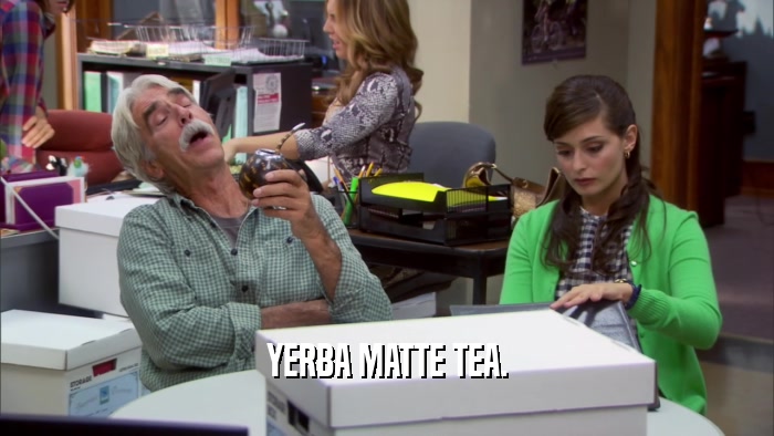 YERBA MATTE TEA.  