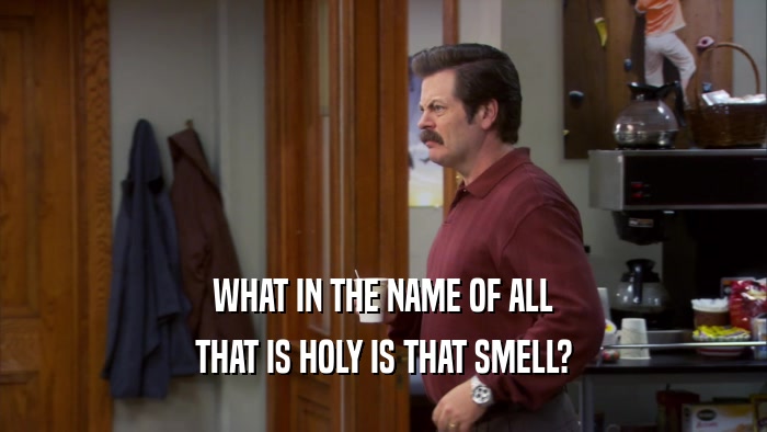 WHAT IN THE NAME OF ALL THAT IS HOLY IS THAT SMELL? 