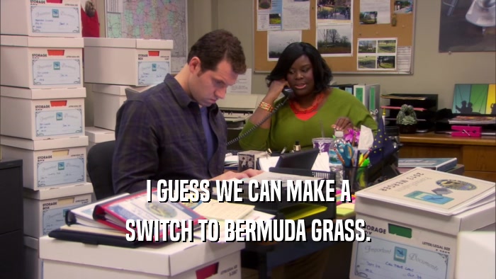 I GUESS WE CAN MAKE A SWITCH TO BERMUDA GRASS. 