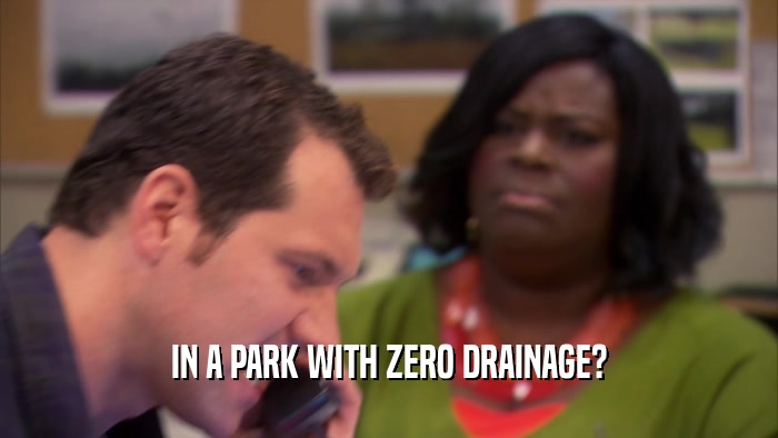 IN A PARK WITH ZERO DRAINAGE?  