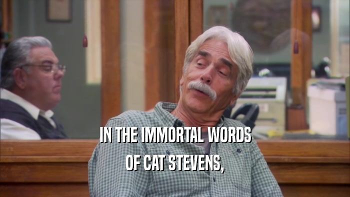 IN THE IMMORTAL WORDS OF CAT STEVENS, 
