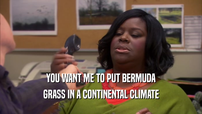 YOU WANT ME TO PUT BERMUDA GRASS IN A CONTINENTAL CLIMATE 