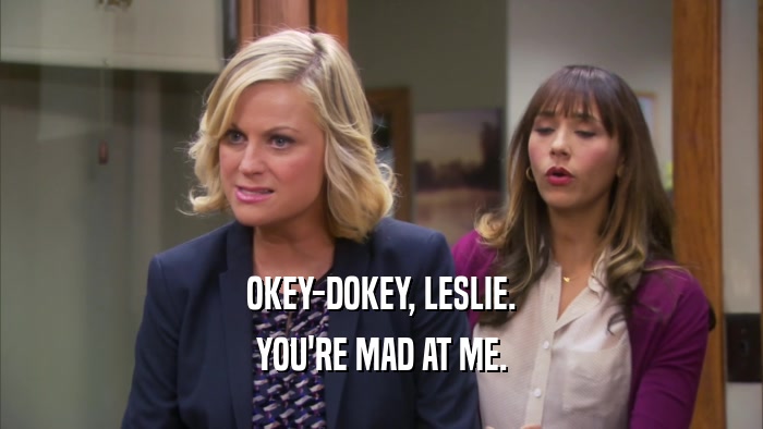 OKEY-DOKEY, LESLIE. YOU'RE MAD AT ME. 