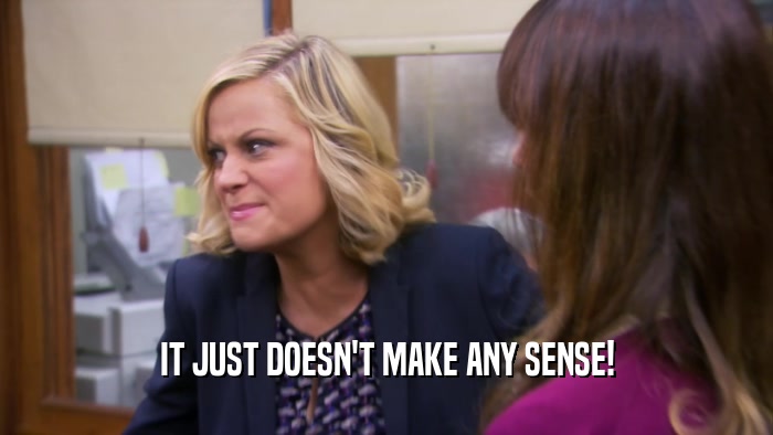 IT JUST DOESN'T MAKE ANY SENSE!  