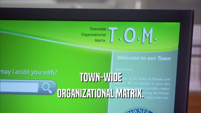 TOWN-WIDE ORGANIZATIONAL MATRIX. 