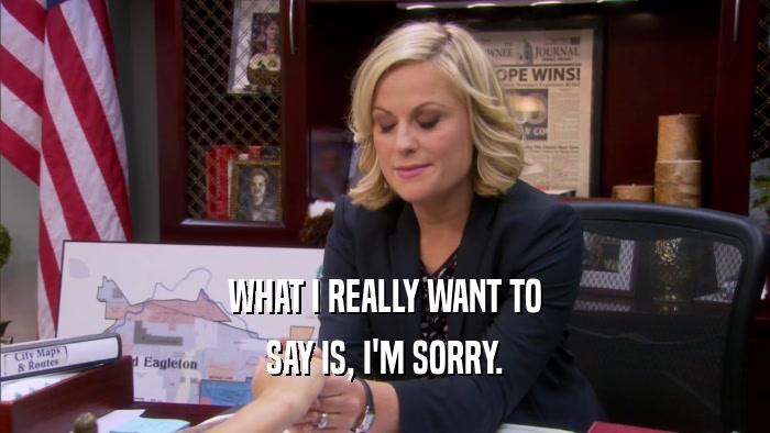 WHAT I REALLY WANT TO SAY IS, I'M SORRY. 