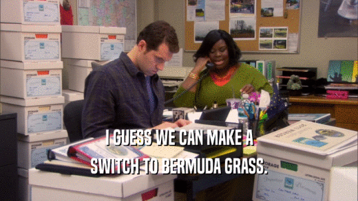 I GUESS WE CAN MAKE A SWITCH TO BERMUDA GRASS. 