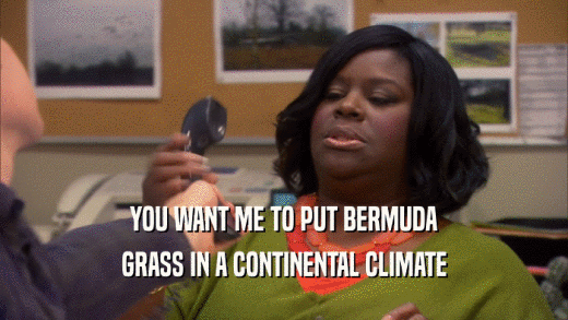 YOU WANT ME TO PUT BERMUDA GRASS IN A CONTINENTAL CLIMATE 