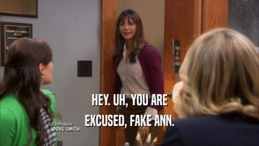 HEY. UH, YOU ARE EXCUSED, FAKE ANN. 