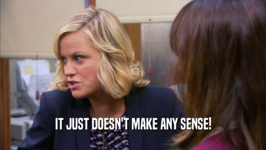 IT JUST DOESN'T MAKE ANY SENSE!  