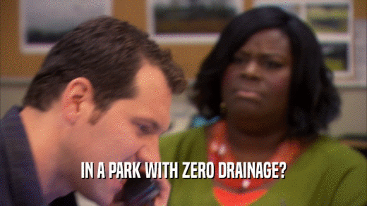 IN A PARK WITH ZERO DRAINAGE?  