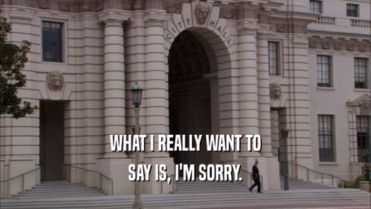 WHAT I REALLY WANT TO SAY IS, I'M SORRY. 