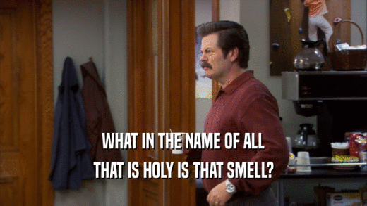 WHAT IN THE NAME OF ALL THAT IS HOLY IS THAT SMELL? 