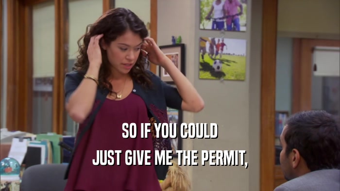 SO IF YOU COULD JUST GIVE ME THE PERMIT, 