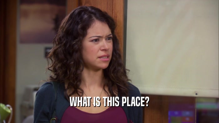 WHAT IS THIS PLACE?  