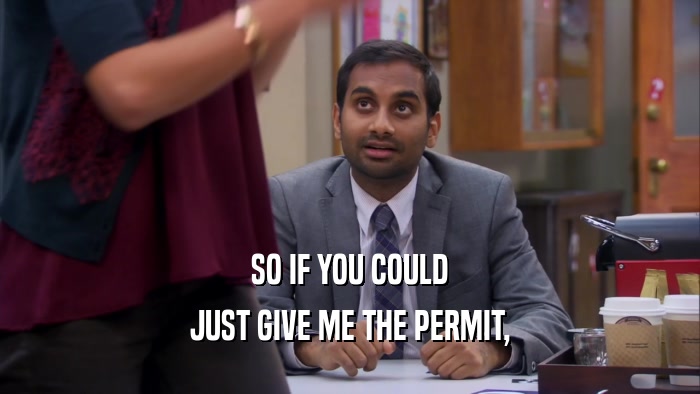 SO IF YOU COULD JUST GIVE ME THE PERMIT, 