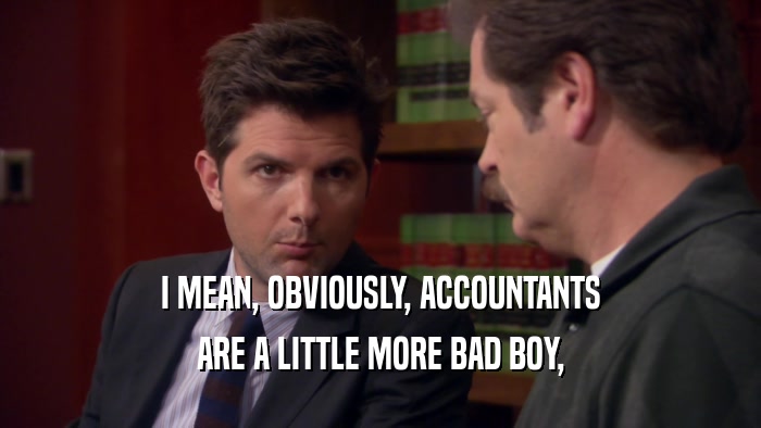 I MEAN, OBVIOUSLY, ACCOUNTANTS ARE A LITTLE MORE BAD BOY, 