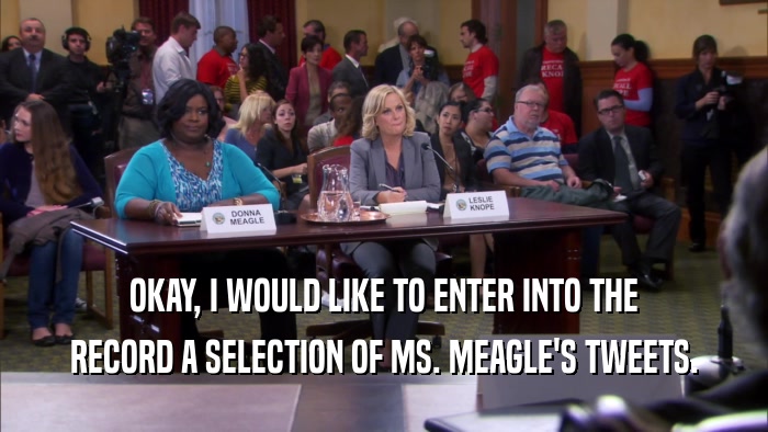 OKAY, I WOULD LIKE TO ENTER INTO THE RECORD A SELECTION OF MS. MEAGLE'S TWEETS. 