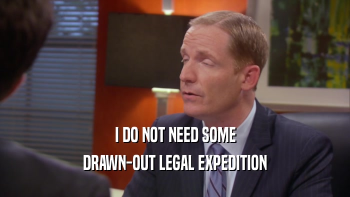 I DO NOT NEED SOME
 DRAWN-OUT LEGAL EXPEDITION
 