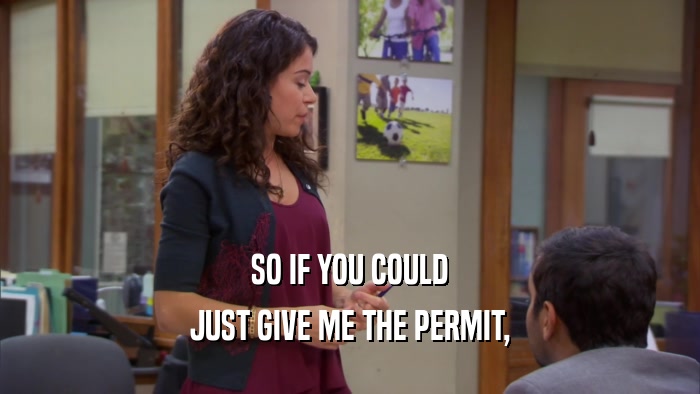 SO IF YOU COULD JUST GIVE ME THE PERMIT, 